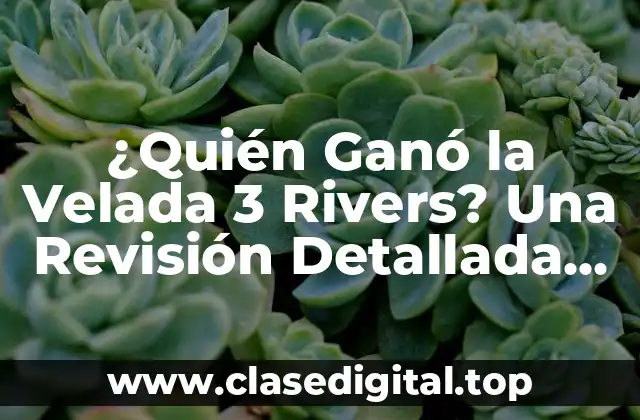 Orígenes de la Velada 3 Rivers: Cómo Surgió la Idea de Este Evento Histórico