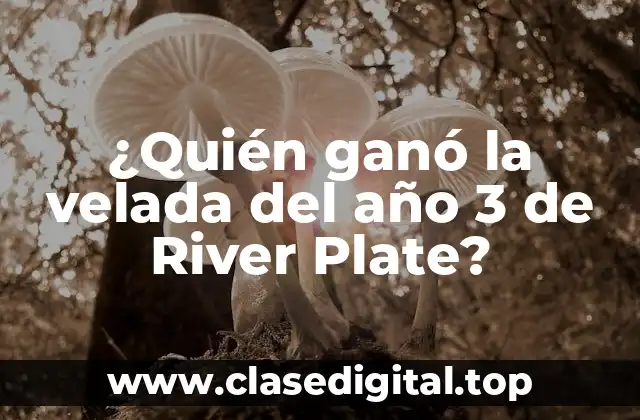 ¿Quién ganó la velada del año 3 de River Plate?