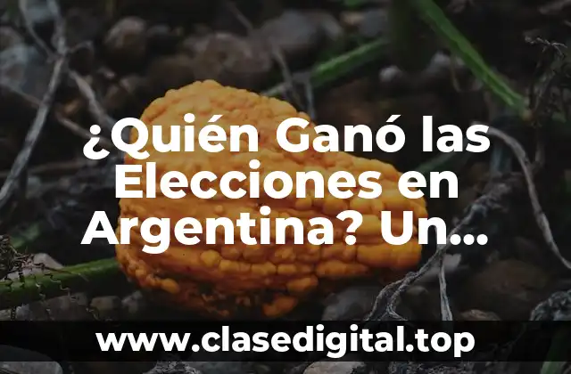 ¿Quién Ganó las Elecciones en Argentina? Un Análisis Detallado