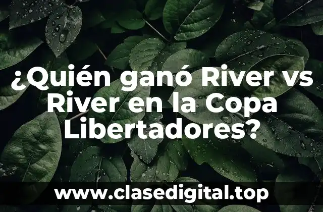 ¿Quién ganó River vs River en la Copa Libertadores?