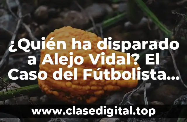 ¿Quién ha disparado a Alejo Vidal? El Caso del Fútbolista Chileno