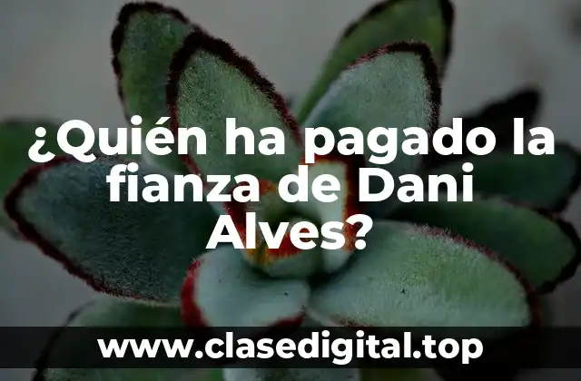 Antecedentes del caso de Dani Alves