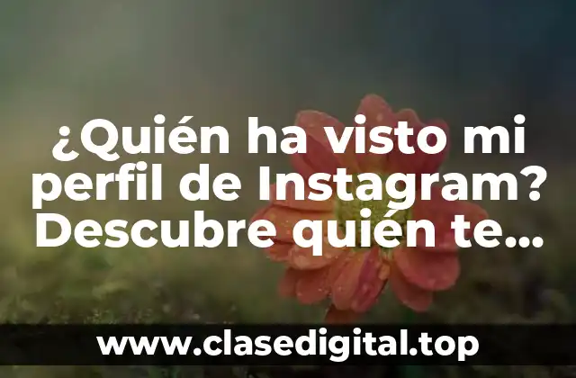 ¿Quién ha visto mi perfil de Instagram? Descubre quién te sigue