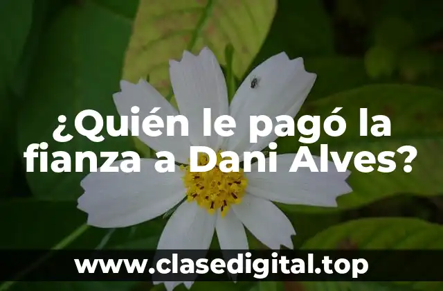 ¿Quién le pagó la fianza a Dani Alves?