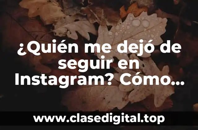 ¿Por qué es importante saber quién te ha quitado el seguimiento en Instagram?