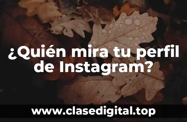 ¿Quién mira tu perfil de Instagram?