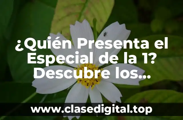 ¿Quién Presenta el Especial de la 1? Descubre los Mejores Conductores del Programa