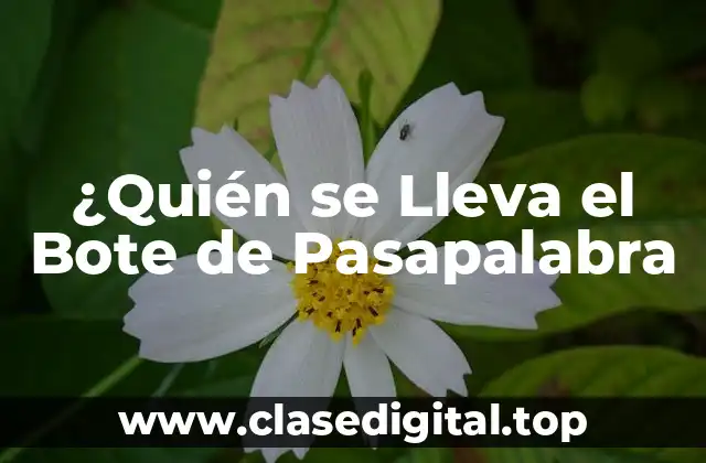 ¿Quién se Lleva el Bote de Pasapalabra