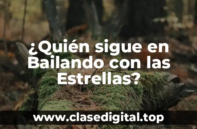 ¿Cuál es el Formato de la Competencia?