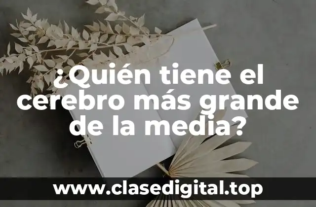 ¿Quién tiene el cerebro más grande de la media?