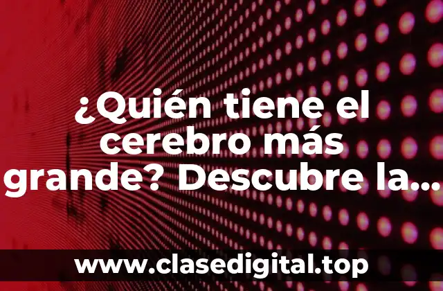 ¿Quién tiene el cerebro más grande? Descubre la respuesta sorprendente
