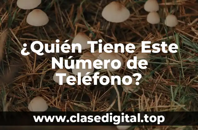 ¿Quién Tiene Este Número de Teléfono?