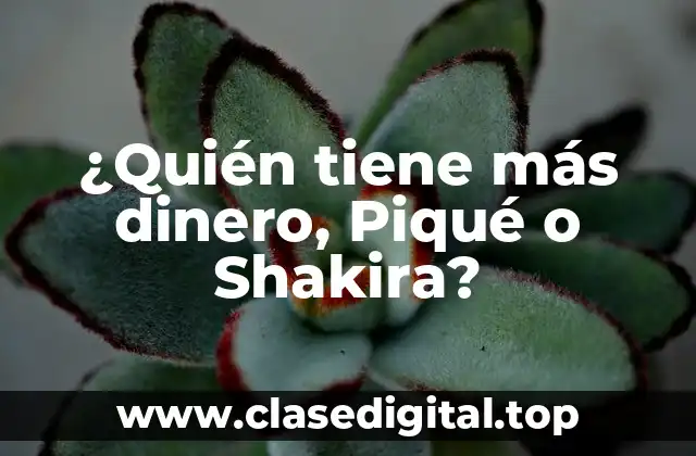 ¿Quién tiene más dinero, Piqué o Shakira?