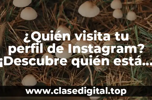 ¿Quién visita tu perfil de Instagram? ¡Descubre quién está interesado en ti!