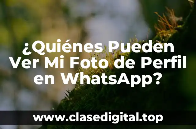Configuración de Privacidad en WhatsApp: Cómo Cambiar la Visibilidad de Mi Foto de Perfil
