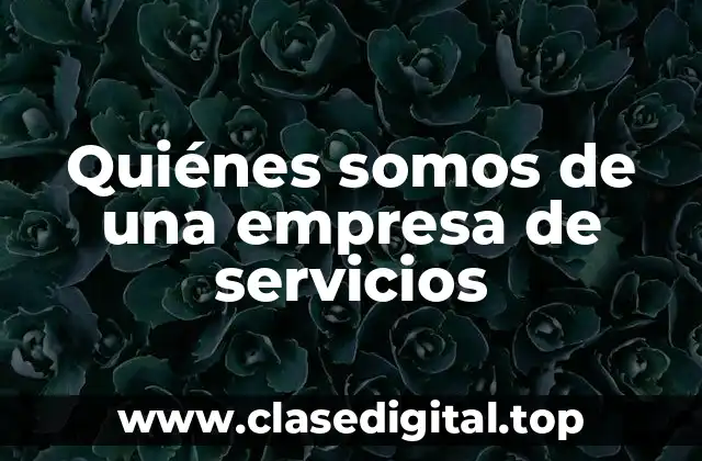 Quiénes somos de una empresa de servicios