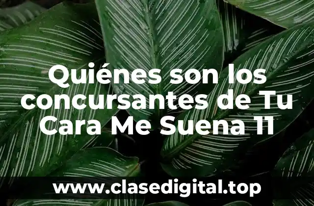 Quiénes son los concursantes de Tu Cara Me Suena 11