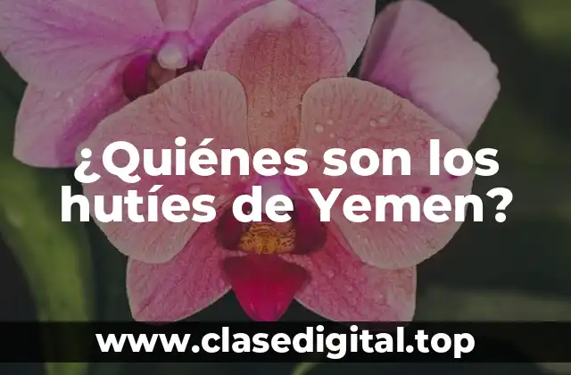 ¿Quiénes son los hutíes de Yemen?