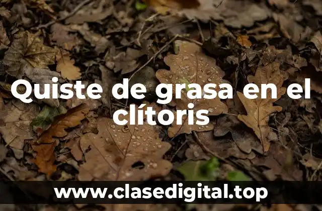 Quiste de grasa en el clítoris