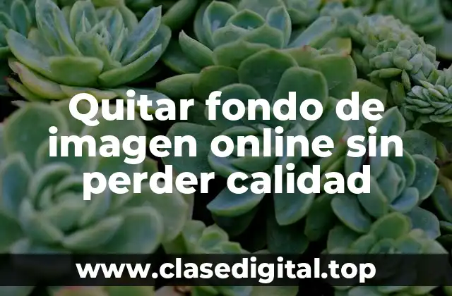 Quitar fondo de imagen online sin perder calidad