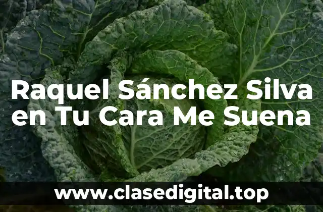 Raquel Sánchez Silva en Tu Cara Me Suena