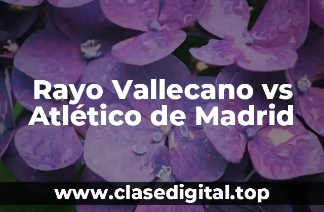 Análisis del Rayo Vallecano: Fortalezas y Debilidades del Equipo