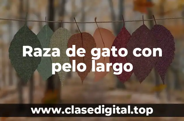 Raza de gato con pelo largo