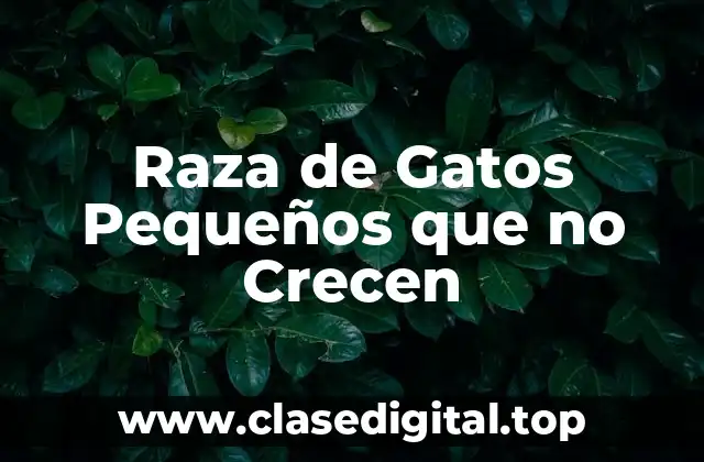 ¿Cuáles son las Características de los Gatos Pequeños que no Crecen?