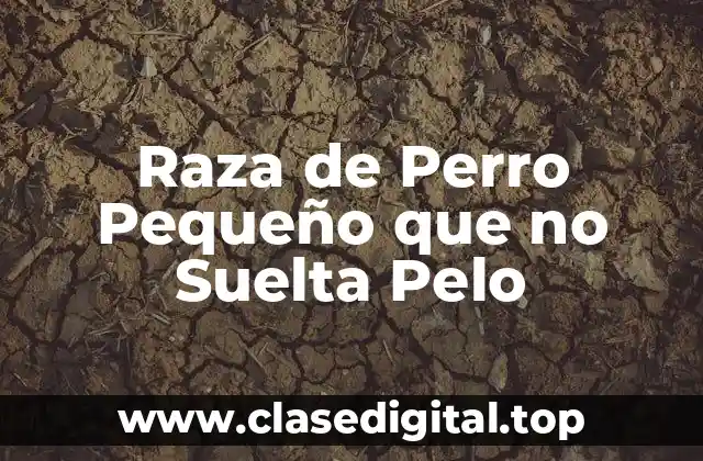 Raza de Perro Pequeño que no Suelta Pelo