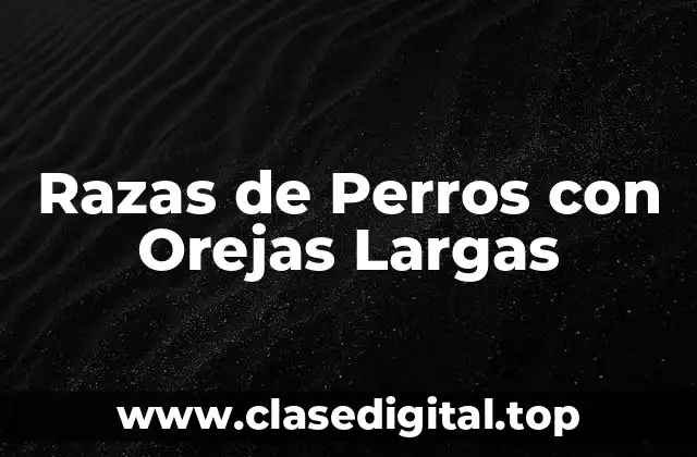 Razas de Perros con Orejas Largas