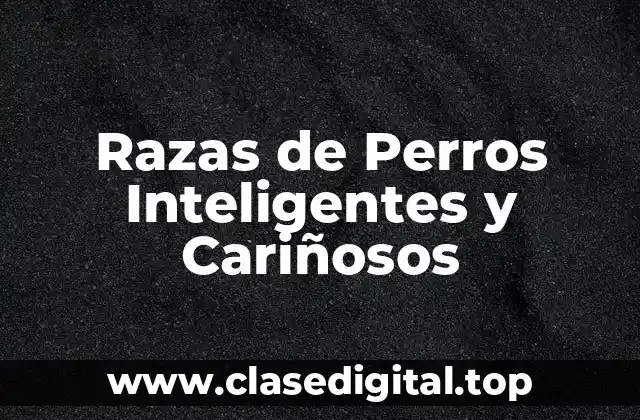 ¿Cuáles son las Características de un Perro Inteligente y Cariñoso?
