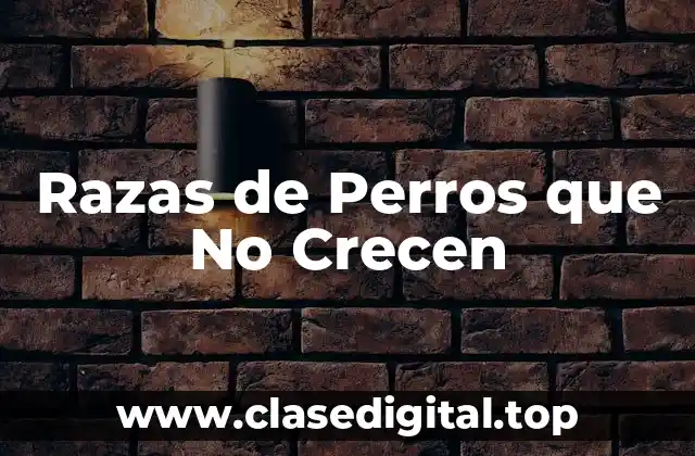 Razas de Perros que No Crecen