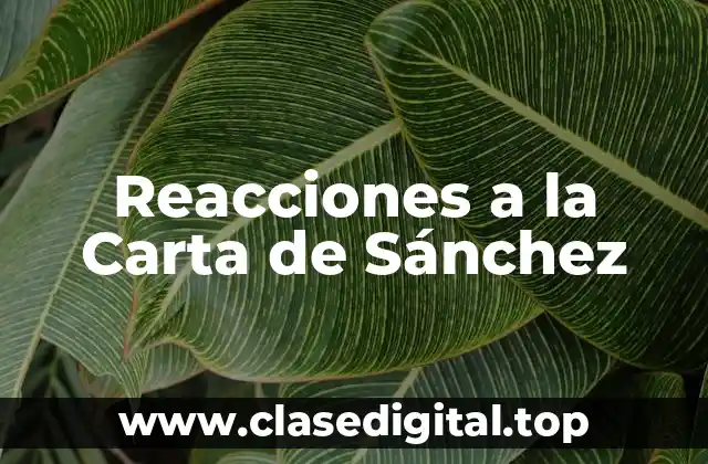 Reacciones a la Carta de Sánchez