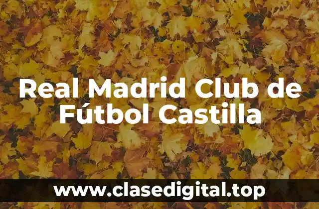 Real Madrid Club de Fútbol Castilla
