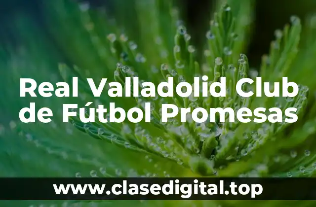 Real Valladolid Club de Fútbol Promesas