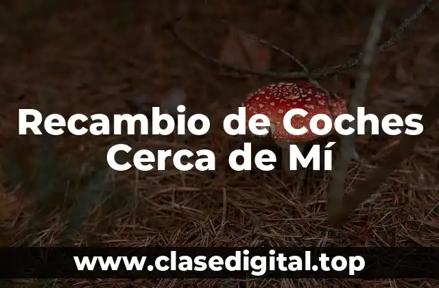 ¿Por qué es Importante el Recambio de Coches Regular?