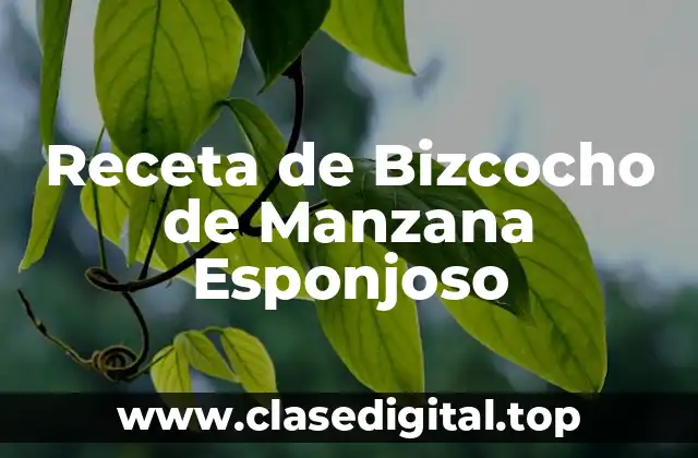 Ingredientes Necesarios para la Receta de Bizcocho de Manzana Esponjoso