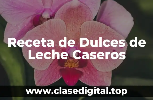 Receta de Dulces de Leche Caseros