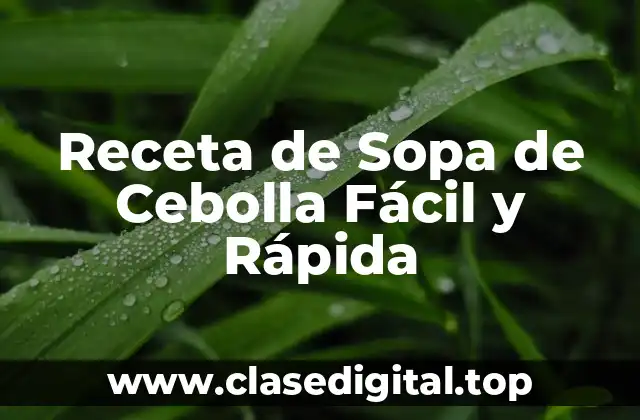 Receta de Sopa de Cebolla Fácil y Rápida