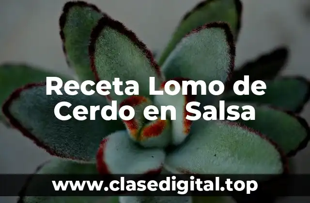 ¿Qué es lo que hace que el Lomo de Cerdo sea tan Popular?