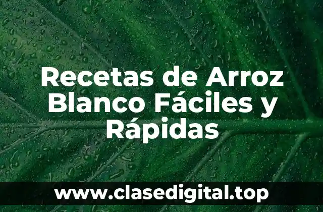 Recetas de Arroz Blanco Fáciles y Rápidas