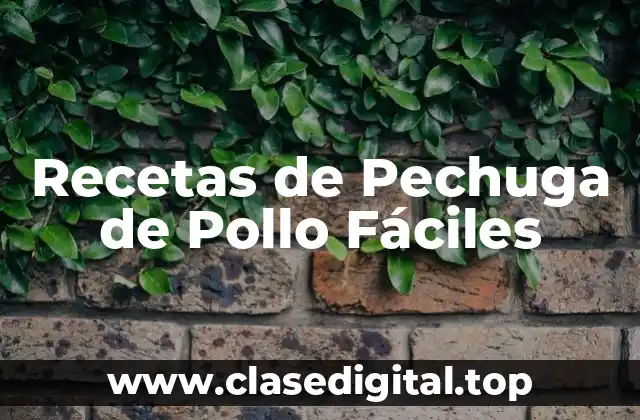Recetas de Pechuga de Pollo Fáciles