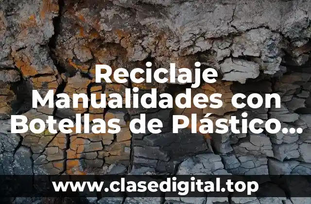 Reciclaje Manualidades con Botellas de Plástico Grandes
