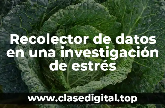 Recolector de datos en una investigación de estrés