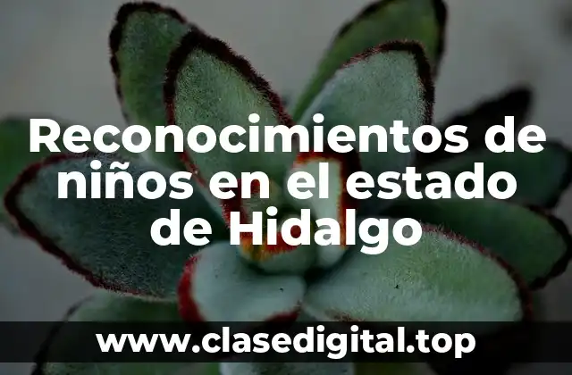 Ejemplos de reconocimientos de niños en el estado de Hidalgo