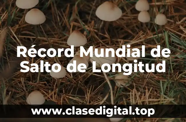 Récord Mundial de Salto de Longitud