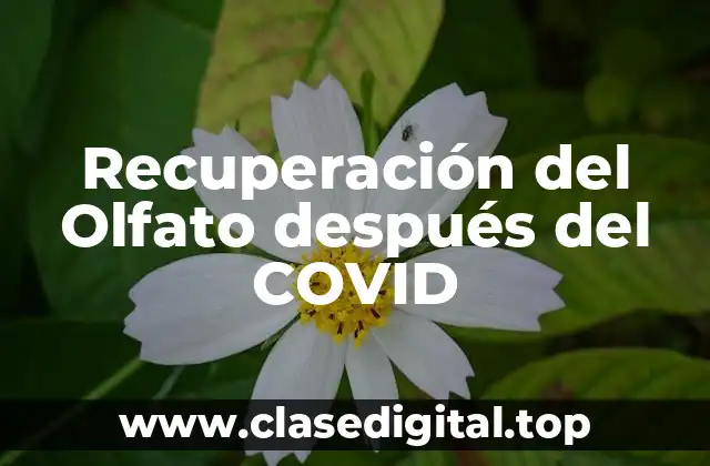 Recuperación del Olfato después del COVID