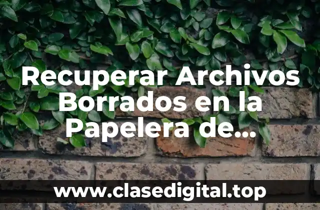 Recuperar Archivos Borrados en la Papelera de Reciclaje