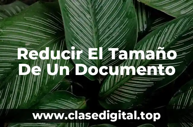 Reducir El Tamaño De Un Documento
