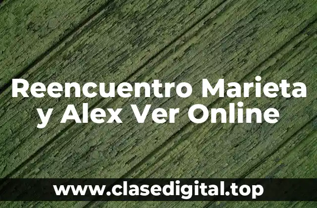 Reencuentro Marieta y Alex Ver Online
